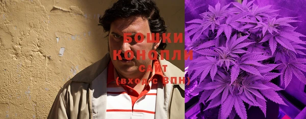 ПСИЛОЦИБИНОВЫЕ ГРИБЫ Алзамай