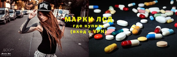 ПСИЛОЦИБИНОВЫЕ ГРИБЫ Алзамай